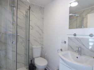 伊利Windmill Cottage的浴室配有卫生间、盥洗盆和淋浴。
