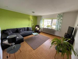 埃默尔斯比尔－霍斯比尔Haus Henriette的带沙发和电视的客厅