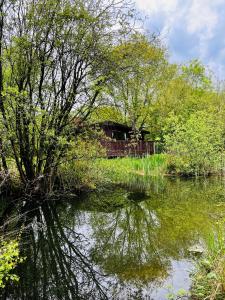 约克Secluded Rustic Cabin - A Digital Detox Paradise.的河中树木的房屋