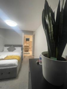 伊普斯威奇Beautiful en-suite bedroom的一间卧室配有一张床和盆栽植物