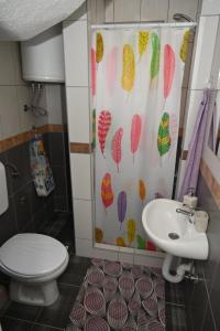 拉克塔希Domacinstvo Marija的浴室设有淋浴帘、卫生间和水槽