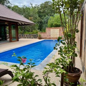 俊穆岛Koh Jum Beach Villas "A member of Secret Retreats"的一座房子旁边的游泳池,里面栽有植物