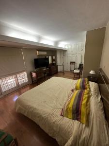 门多萨CASA BOMBAL的一间卧室配有一张大床和一台平面电视