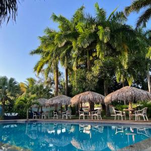 萨利诺波利斯Hotel Praia Bela的一个带椅子和草伞及棕榈树的游泳池