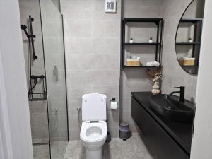 普洛耶什蒂Raluca cozy apartment's的浴室配有卫生间、盥洗盆和淋浴。