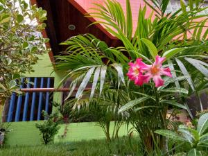 若昂佩索阿Pousada Aconchego do Tambaú的房子前面的粉红色花