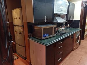 艾因苏赫纳Apartment Porto El Sokhna Pyramids的厨房配有微波炉和冰箱。