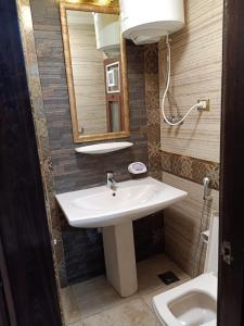 艾因苏赫纳Apartment Porto El Sokhna Pyramids的一间带水槽、镜子和卫生间的浴室