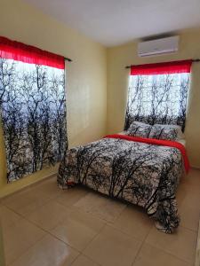 博卡奇卡Casa para la familia的一间卧室设有一张床和两个窗户。