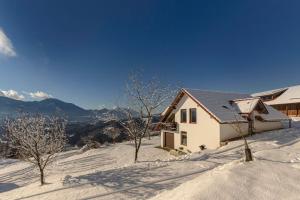 斯洛文尼亚格拉代茨Guest House Štruc的雪覆盖的山顶上的房子