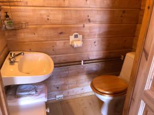 诺托登Lystang Glamping & Cabins的一间带卫生间和水槽的小浴室