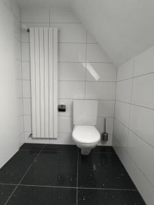 特林巴赫Butthouse Apartments的浴室位于隔间内,设有白色卫生间。