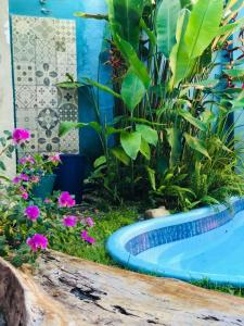 阿拉亚尔达茹达Aldeia dos Encantos Inn的庭院里带蓝色游泳池的花园