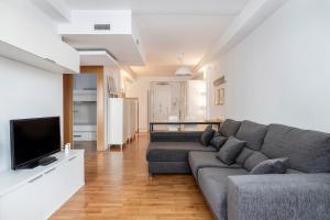 巴塞罗那拉梅尔佐那德巴塞罗那公寓的带沙发和平面电视的客厅