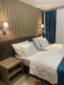 苏黎世Nani City Hotel的酒店客房设有两张床和一张桌子。