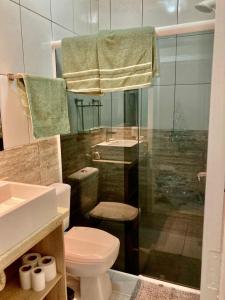 伊瓜苏Casa centro Falls的一间带卫生间和玻璃淋浴间的浴室