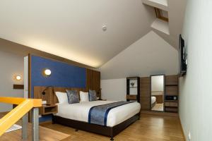 比利亚维西奥萨-德奥东Hotel Villa Odon的一间卧室配有一张床和一张书桌