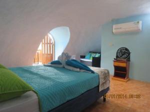 德雷克Domito Corcovado的一间卧室配有一张带拱形窗户的床