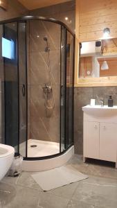 詹塔尔Osada Jantar-Resort&SPA的带淋浴、卫生间和盥洗盆的浴室