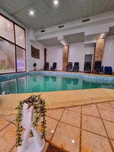 卡库拉塔Hotel Perla Oltului的一座带椅子的大建筑中的游泳池