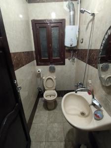 亚历山大Victoria Hostel的一间带卫生间和水槽的小浴室