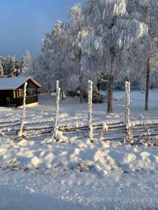 SiljansnäsSiljansnäs Stugby & Resort的一座被雪覆盖的花园,后方设有小屋