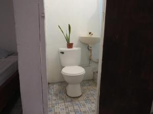 莫约加尔帕Holanda House的一间带卫生间和水槽的浴室