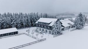 温特贝格Landhotel Flora & Fauna的雪覆盖的房子的空中景色