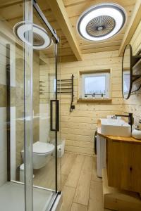 泰里克兹Domek Tylicz Widoki的带淋浴、卫生间和盥洗盆的浴室