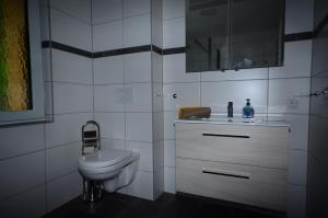 费尔兹姆斯Haus Jakob的白色的浴室设有卫生间和水槽。