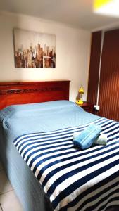 圣地亚哥VidaNatural的卧室配有蓝色和白色条纹床