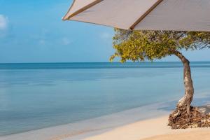 巴尔Hotel Isla del Encanto的海滩上的一棵树,带一把遮阳伞