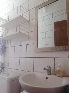 黑岛El Refugio de la Estancia的一间带卫生间、水槽和镜子的浴室
