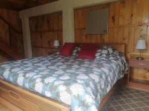 黑岛El Refugio de la Estancia的小木屋内一间卧室,配有一张床