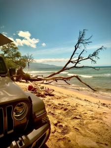 帕依亚Embark on a journey through Maui with Aloha Glamp's jeep and rooftop tent allows you to discover diverse campgrounds, unveiling the island's beauty from unique perspectives each day的停泊在海边的汽车