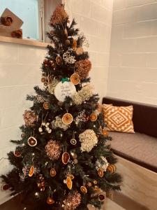 奥伯尔La Bel échappée的长沙发旁的圣诞树,装饰物