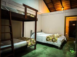 希门尼斯港Cabinas Tropicales的一间卧室设有两张双层床和梯子