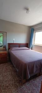阿里卡Hostal 921 apocento的一间卧室设有一张大床和一个大窗户