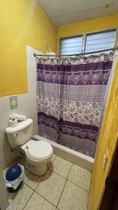 弗洛勒斯Natz Hotel的浴室配有卫生间和紫色的浴帘