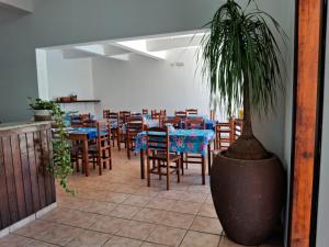 乌巴图巴Pousada Sol da Lagoinha的一间设有桌椅和盆栽的餐厅