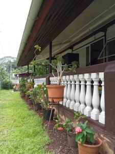 HaapuRavehei smile relais 3 Huahine的房子边一排盆盆栽植物