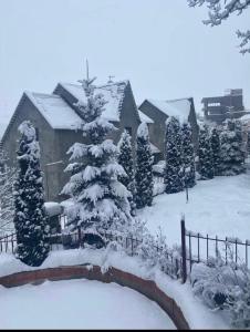 萨克德佐尔镇Villadzor Apart Hotel的院子里有雪覆盖的树的房子