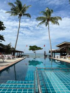 高兰海贝壳海滩度假村 的一座棕榈树和海洋游泳池