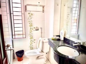 河内Vera Hotel Hà Nội的一间带卫生间和水槽的浴室