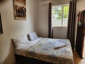卢萨卡Mukala Lodge的一间卧室设有一张床和一个窗口