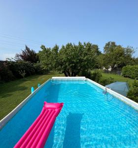 维罗纳Appartamento La Corte Verona的一个带粉红色充气的游泳池