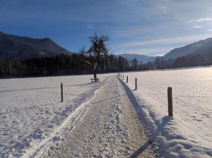 PointFerienwohnungen Rohnbogner的雪覆盖的田野,有树和栅栏