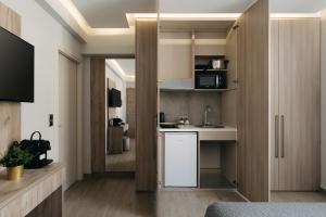 里奥Vialmar Premium Apartments的一个带水槽和柜台的小厨房