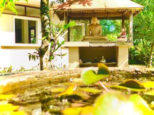 贝鲁沃勒Paradise Garden Beruwala的池塘凉亭里的佛陀雕像