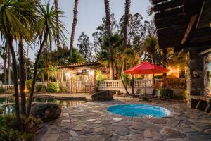 温莎Estrella by AvantStay Secluded Spanish-Style Estate on 7 Acres of Vineyards的后院设有游泳池、遮阳伞和棕榈树